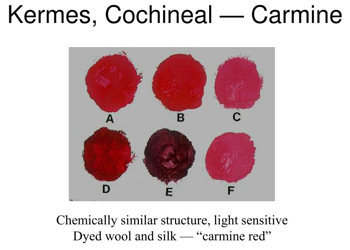 Kermes Cochineal light-sensitive Carmine red (photo: Inez Dolores, slideserve.com)